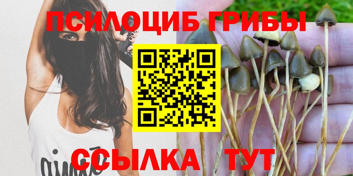 закладка  Вход с VPN  Мыски  Галлюциногенные грибы GOLDEN TEACHER 