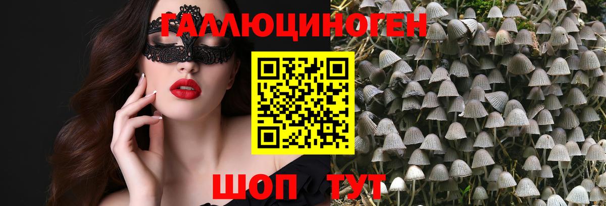 Галлюциногенные грибы Psilocybe Мыски